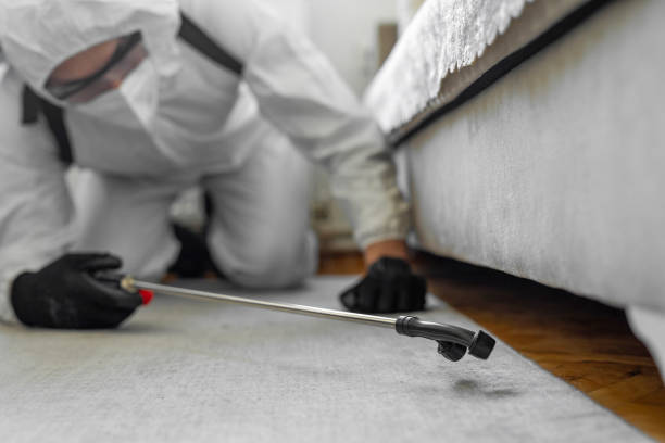 Professional Ant Control technician working in Gilmer, TX