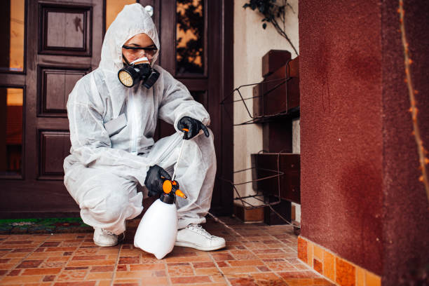 Reliable Ant Control contractor in Gilmer, TX by Show Me Pest Control